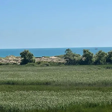 Pearl Sunshine Appartments Appartamento *